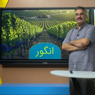 دوره هنر تاکداری